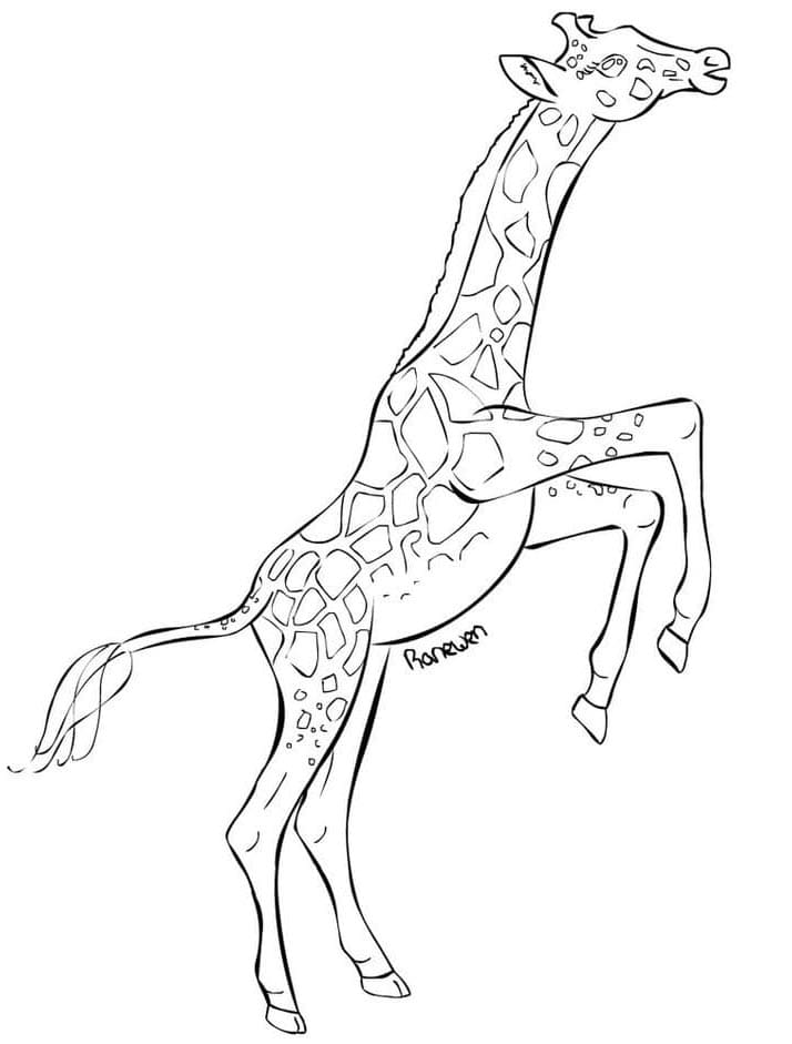 Sjiraff (13) fargelegging