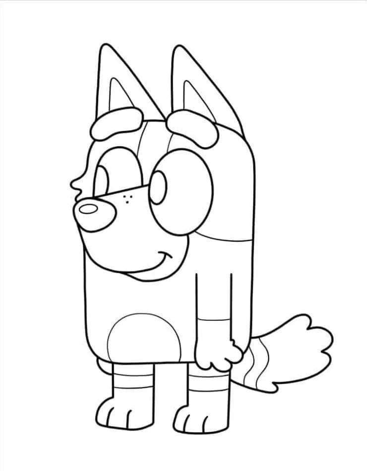 Bluey (10) fargelegging