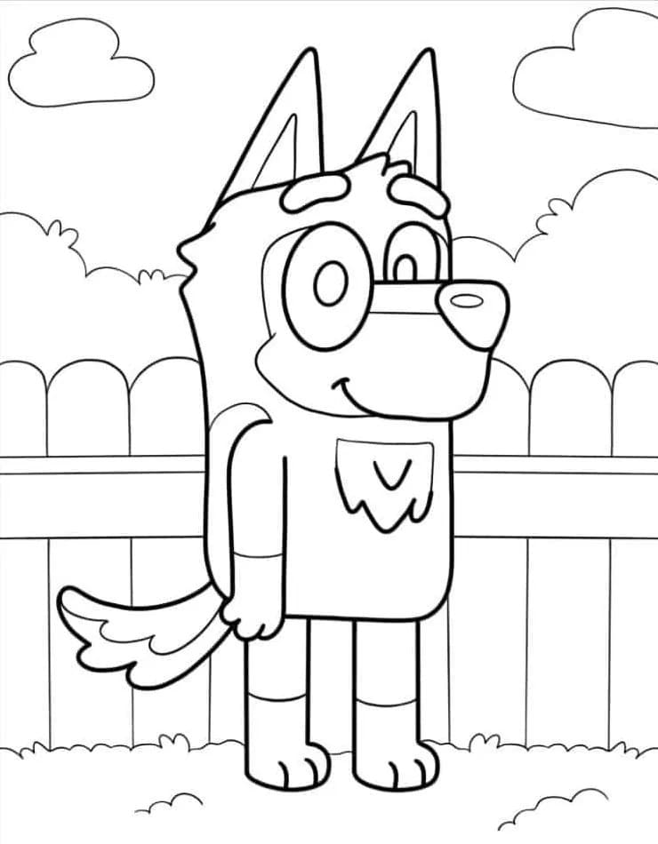 Bluey (2) fargelegging