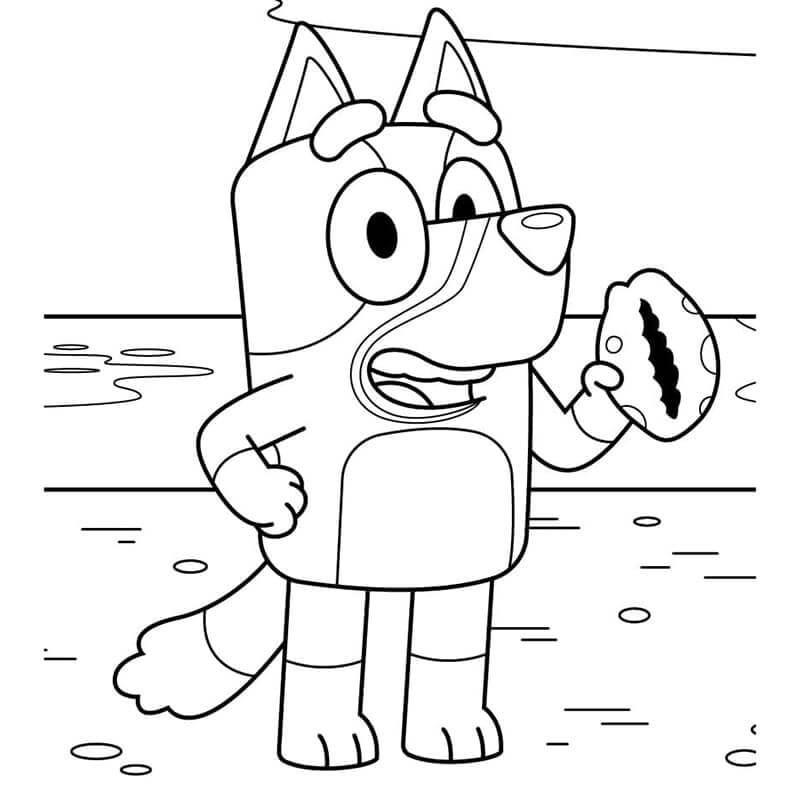 Bluey (26) fargelegging