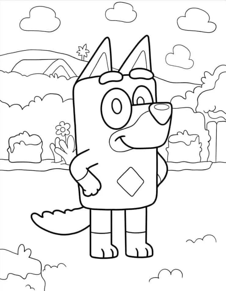 Bluey (8) fargelegging