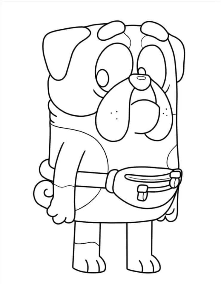 Bluey (9) fargelegging