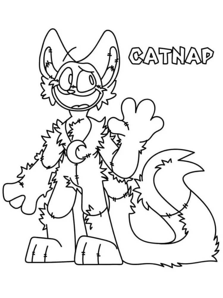 Catnap (23) fargelegging