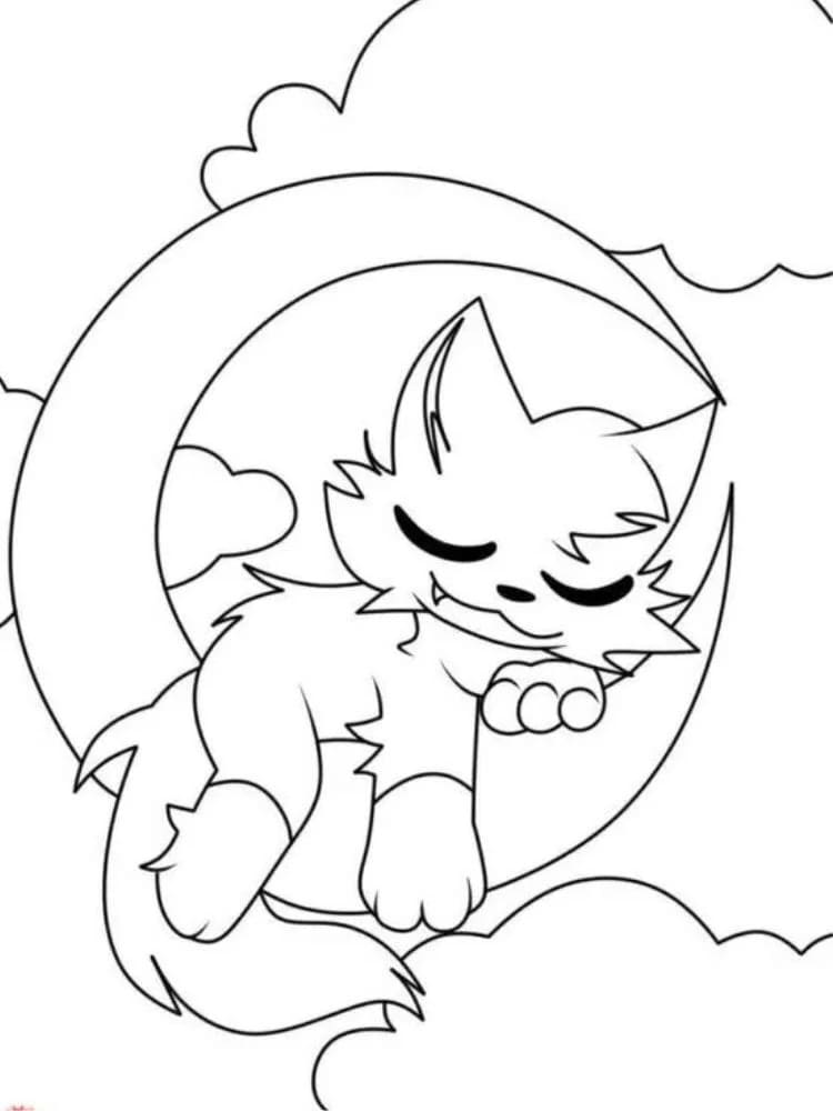Catnap (7) fargelegging