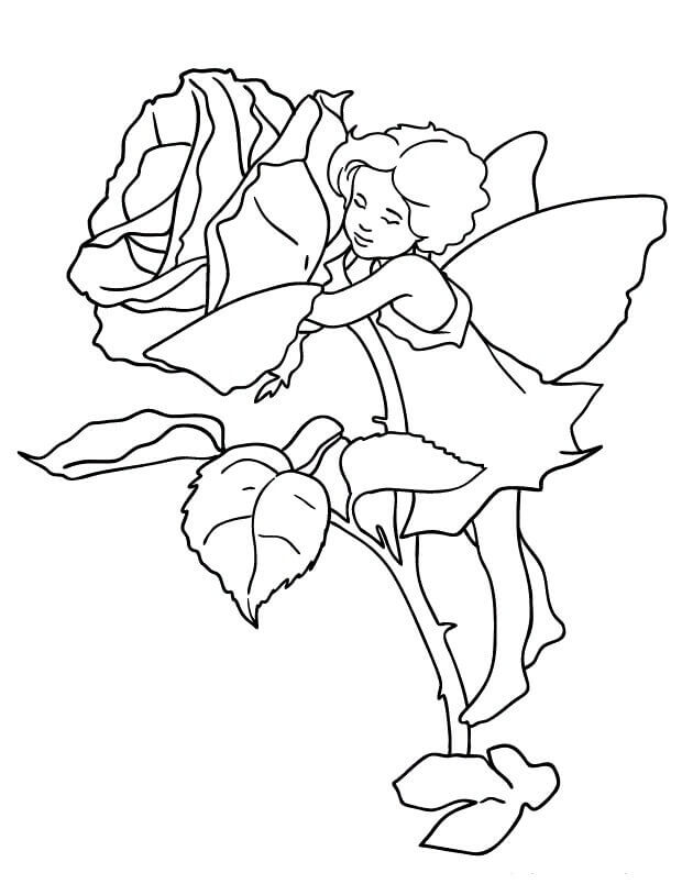 Fe (5) fargelegging
