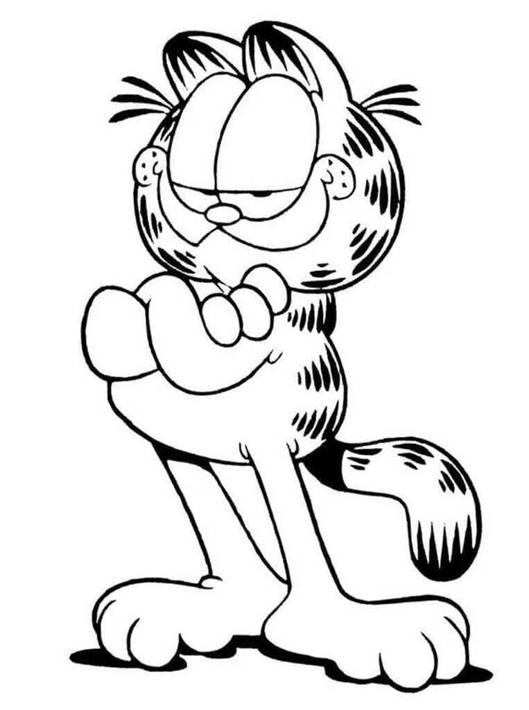 Garfield (13) fargelegging