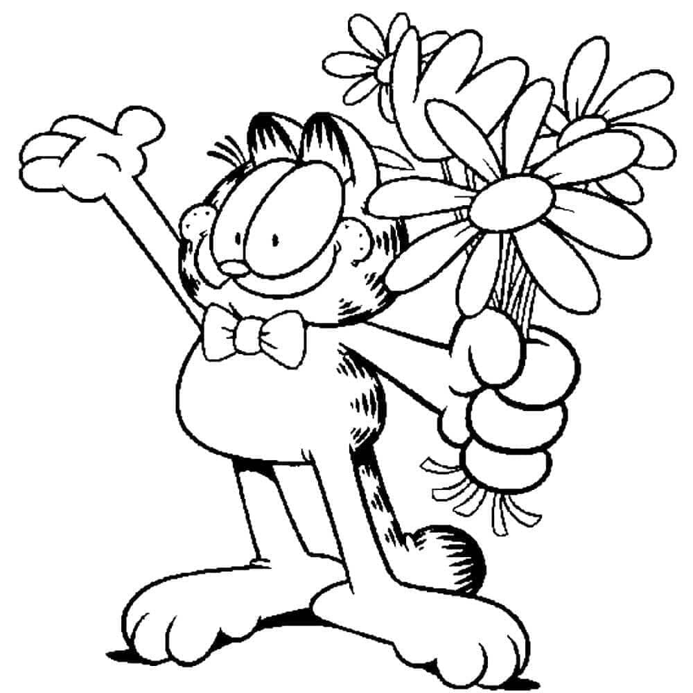 Garfield (21) fargelegging