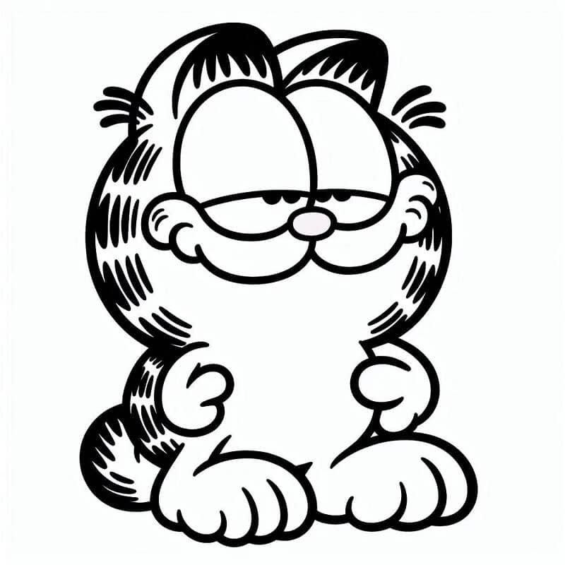 Garfield (33) fargelegging