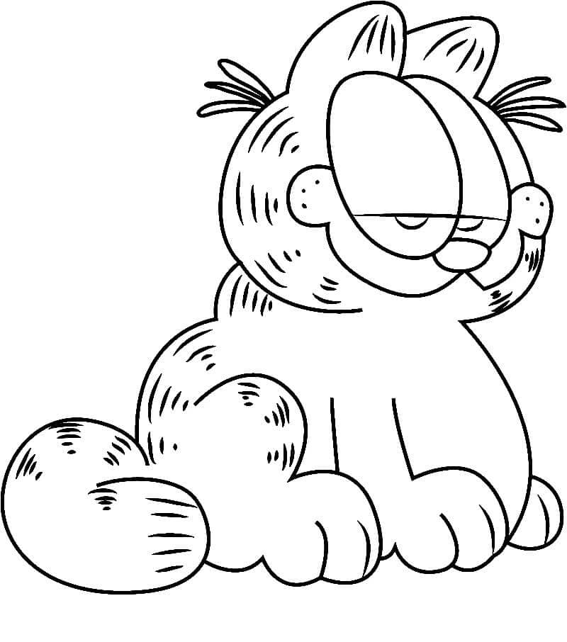Garfield (38) fargelegging