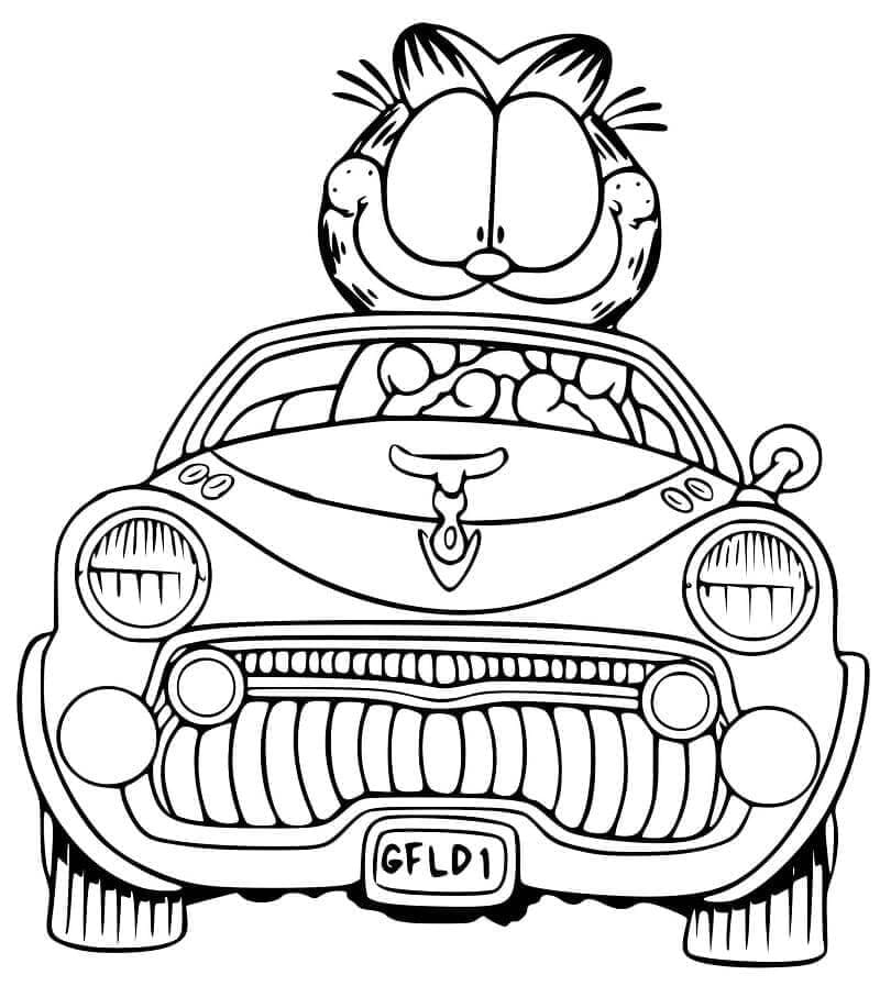 Garfield (40) fargelegging