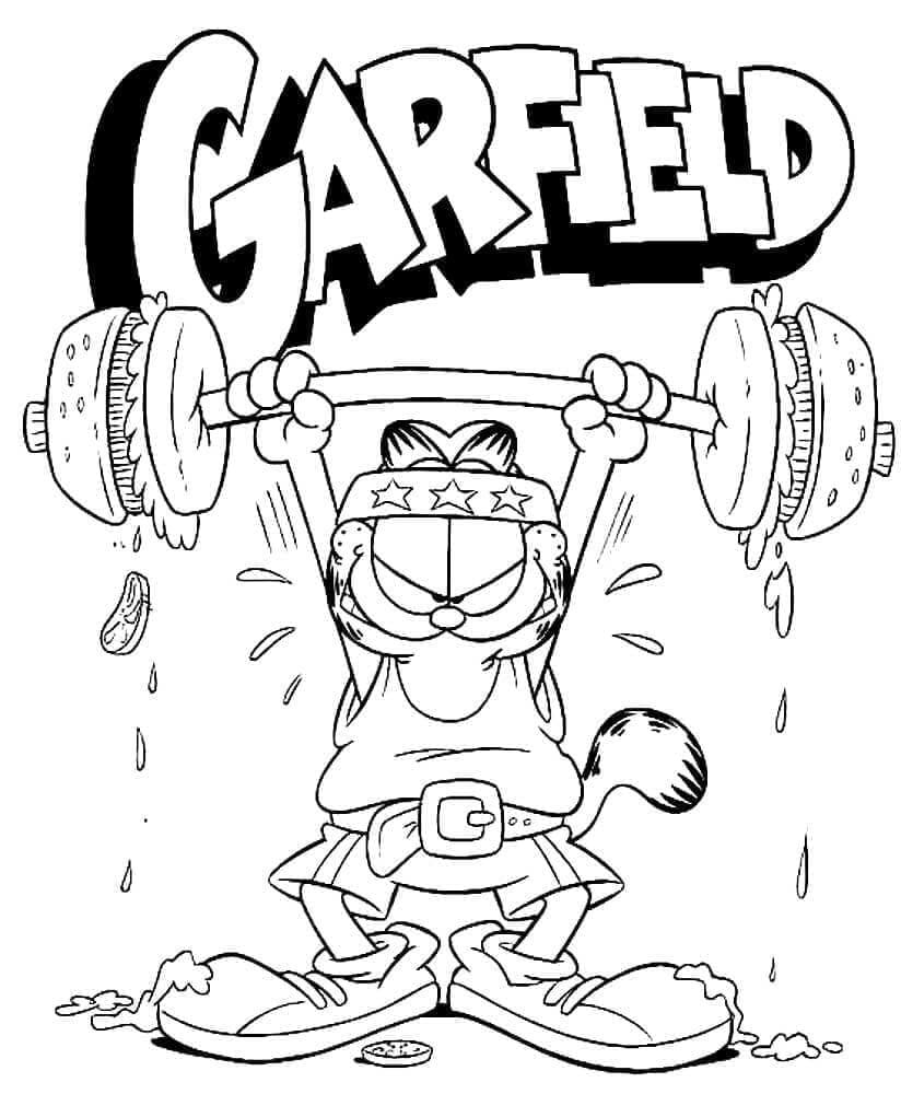Garfield (9) fargelegging
