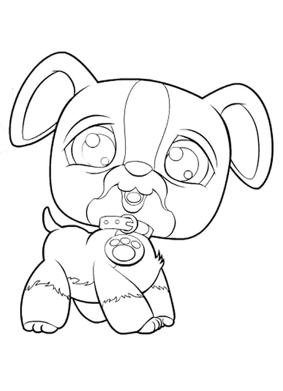 Littlest Pet Shop (14) fargelegging