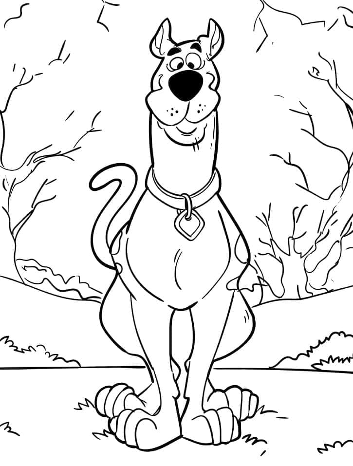 Scooby Doo (33) fargelegging