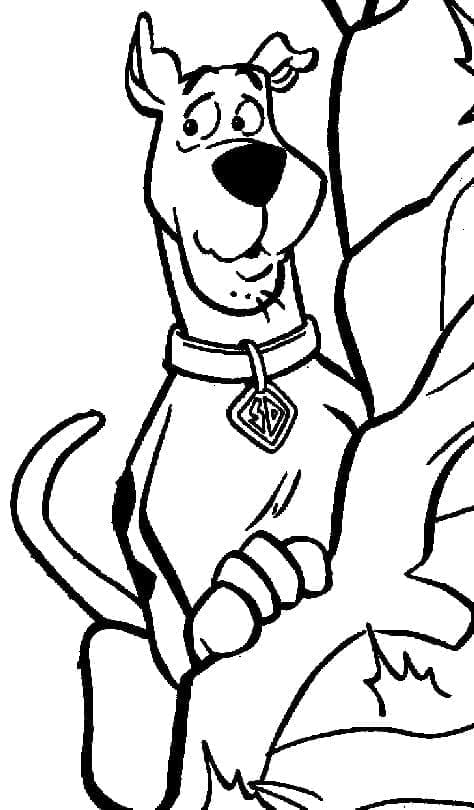 Scooby Doo (35) fargelegging