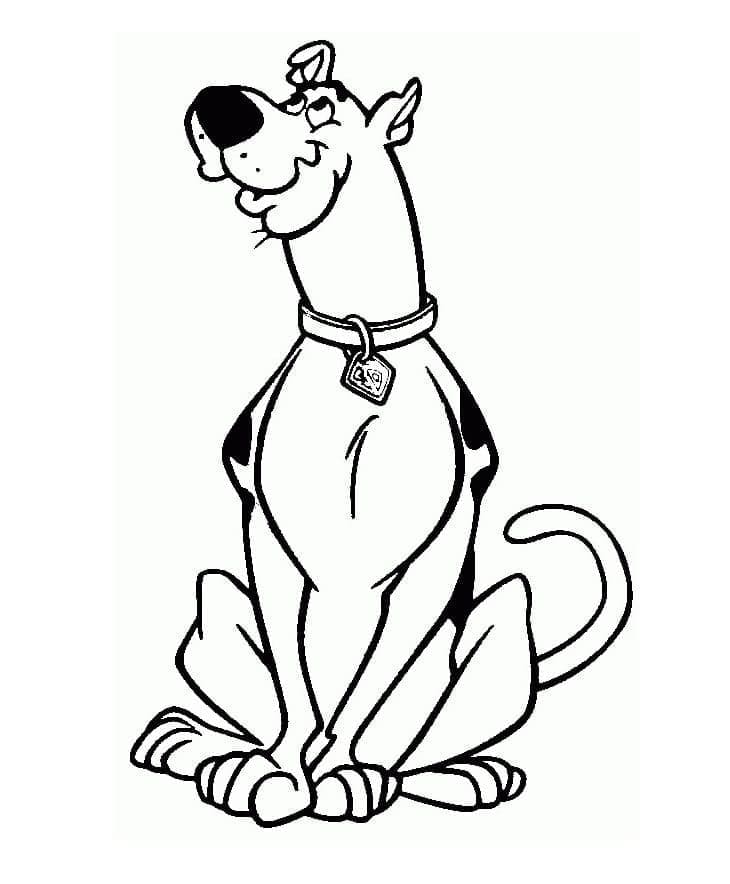 Scooby Doo (37) fargelegging
