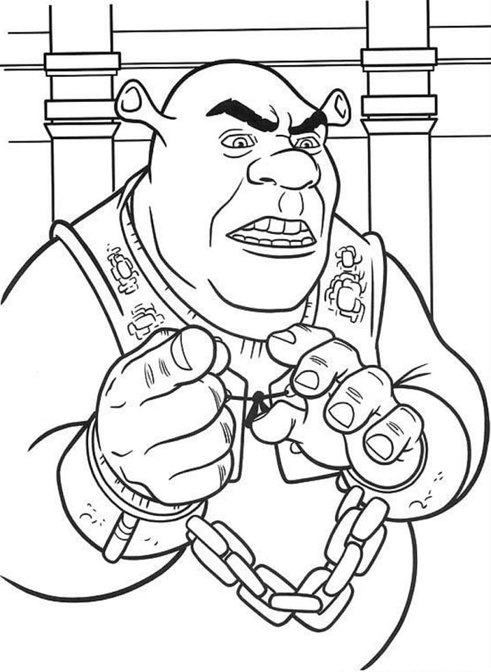 Shrek (10) fargelegging