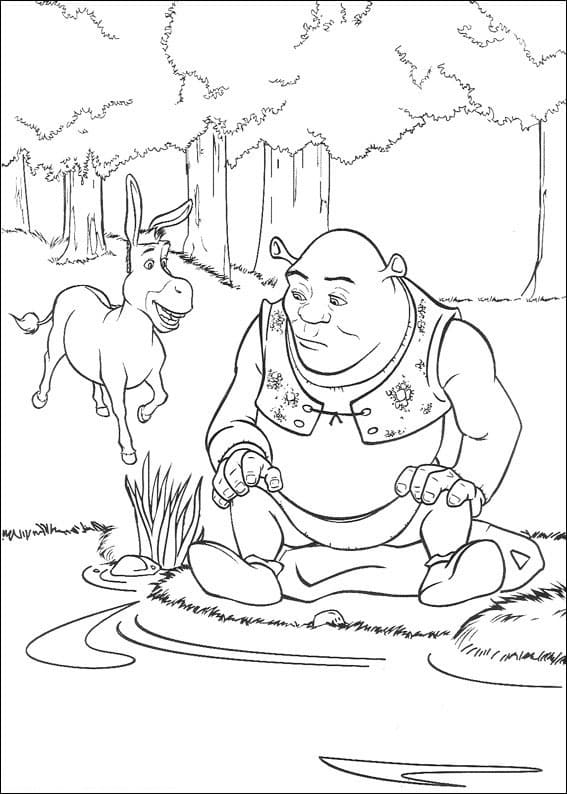 Shrek (20) fargelegging
