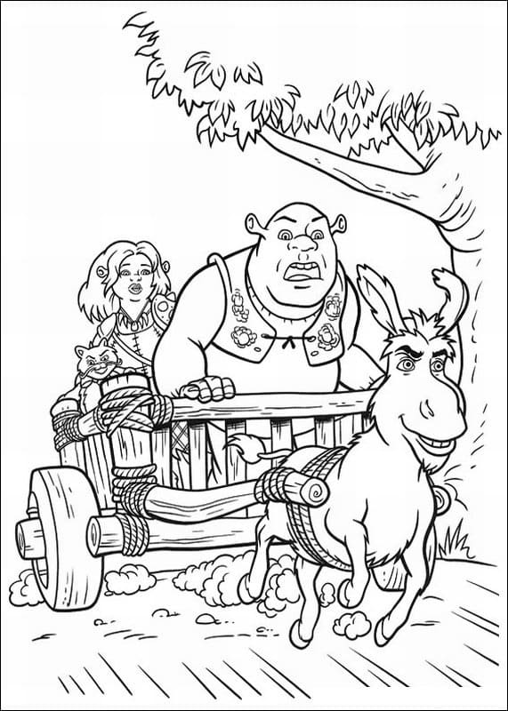 Shrek (24) fargelegging