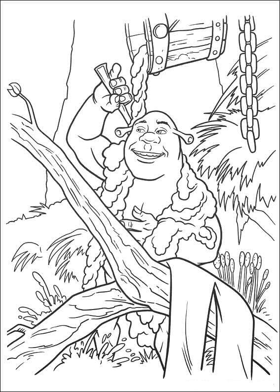 Shrek (33) fargelegging