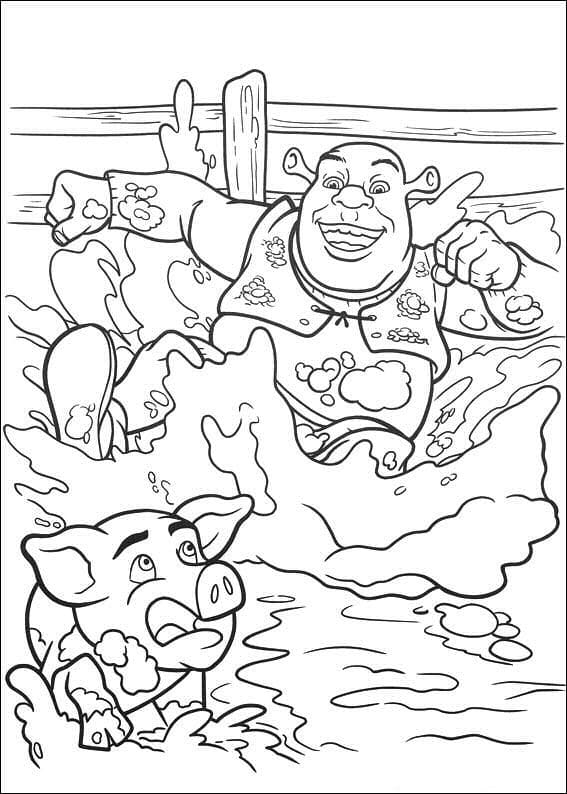 Shrek (37) fargelegging
