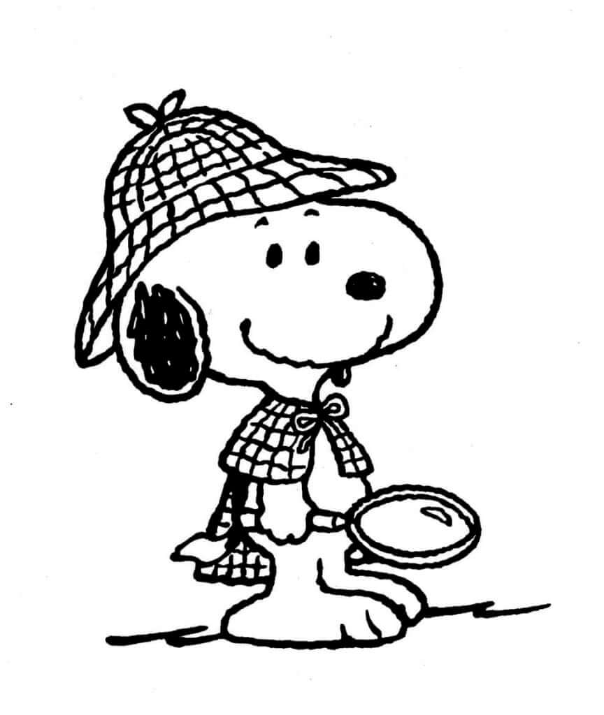 Snoopy (15) fargelegging