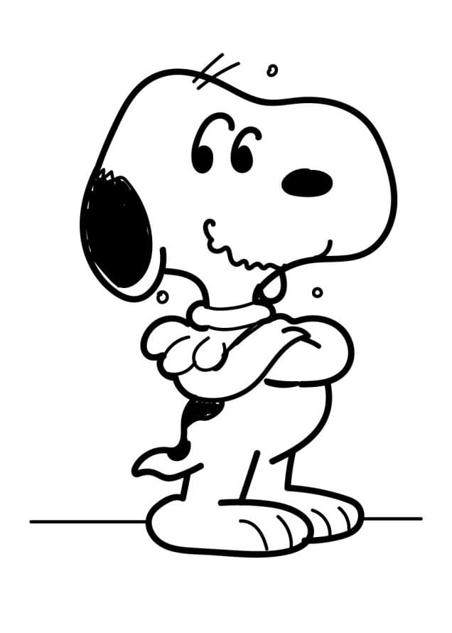 Snoopy fargelegging