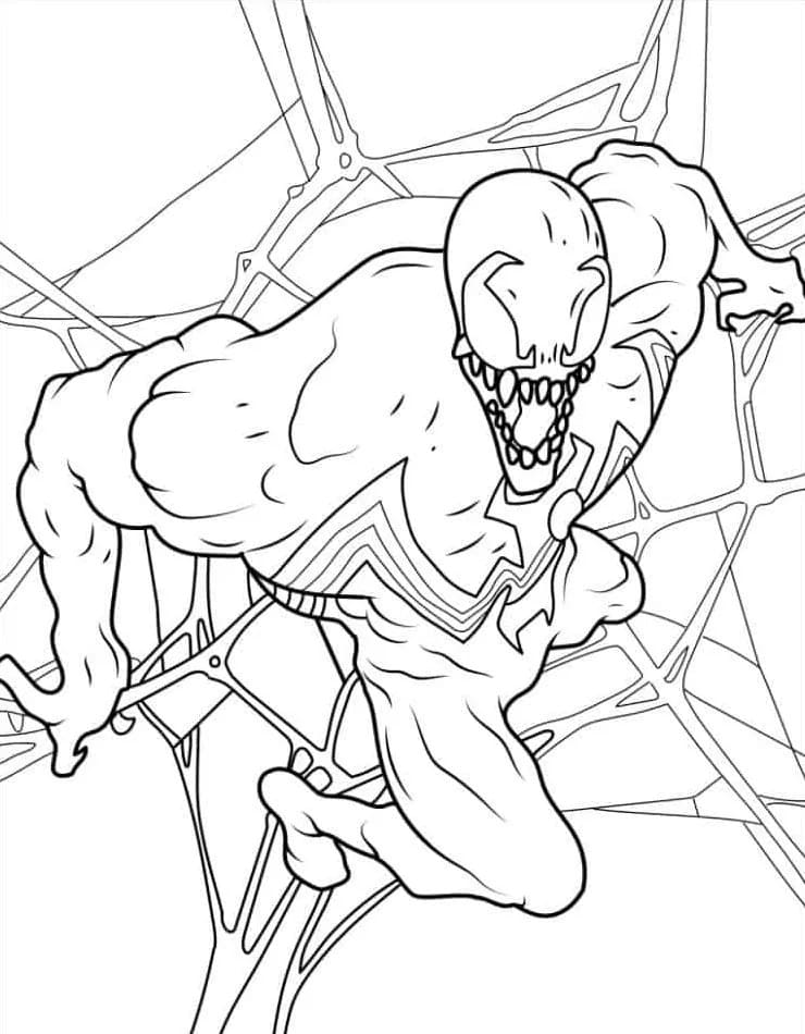 Venom (15) fargelegging