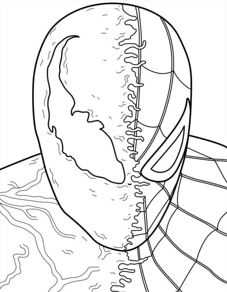 Venom (22) fargelegging