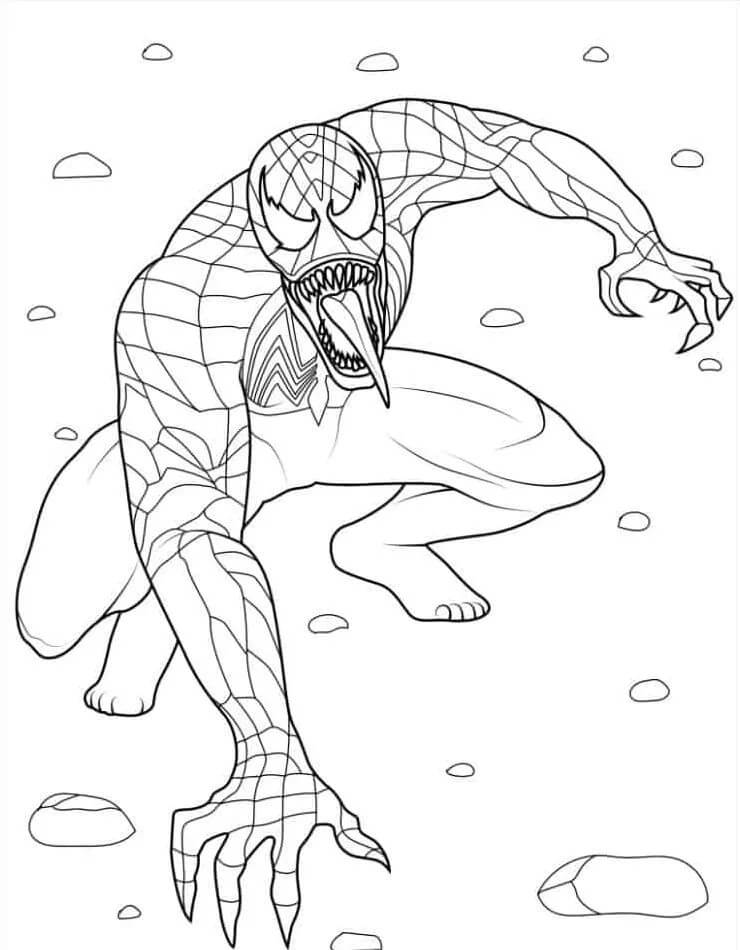 Venom (29) fargelegging
