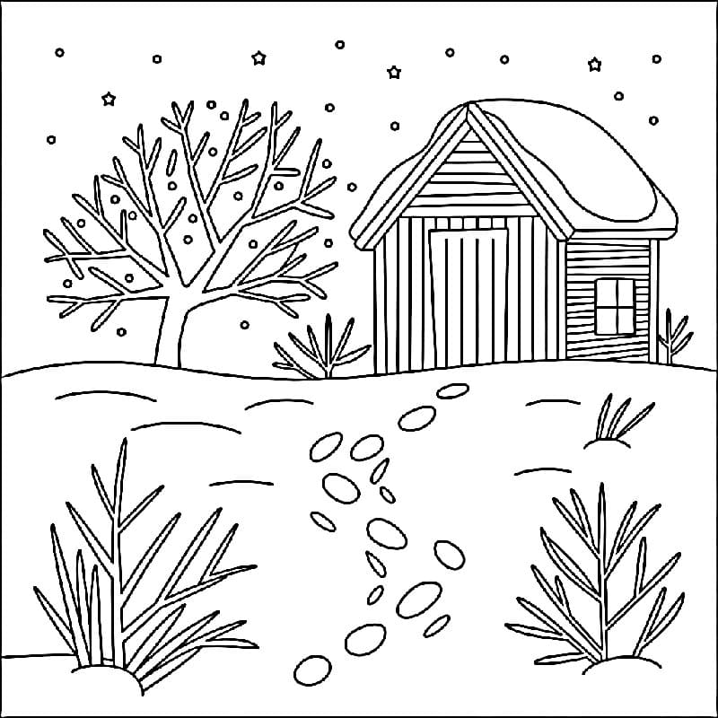 Vinter (11) fargelegging