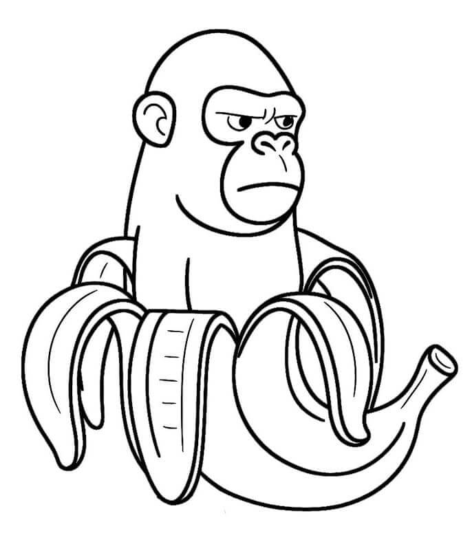 Brainrot Chimpanzini Bananini fargelegging