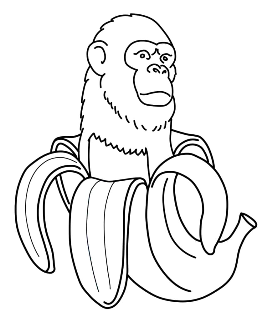 Chimpanzini Bananini Bilde fargelegging