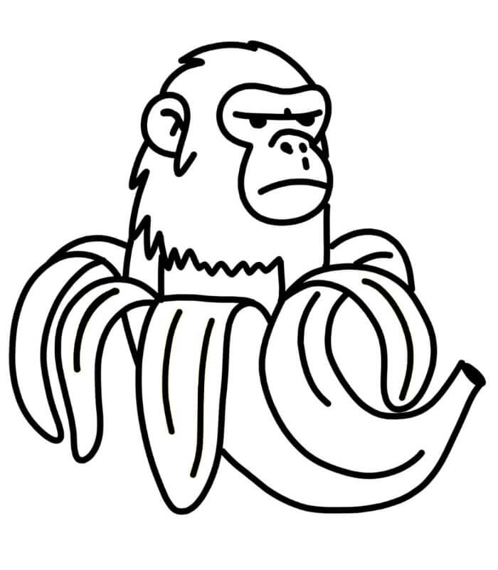 Chimpanzini Bananini Brainrot fargelegging