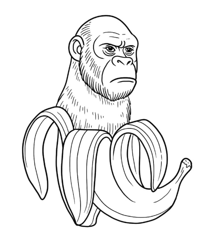 Chimpanzini Bananini for Gratis fargelegging