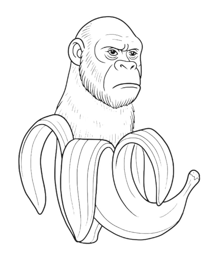 Chimpanzini Bananini Gratis Utskrivbar fargelegging