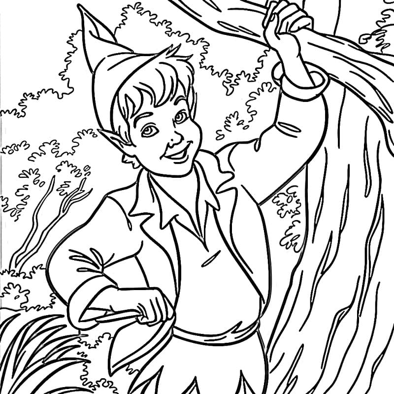 Fantastisk Peter Pan fargelegging