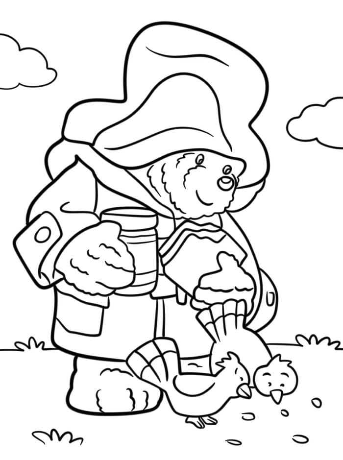 Paddington (2) fargelegging