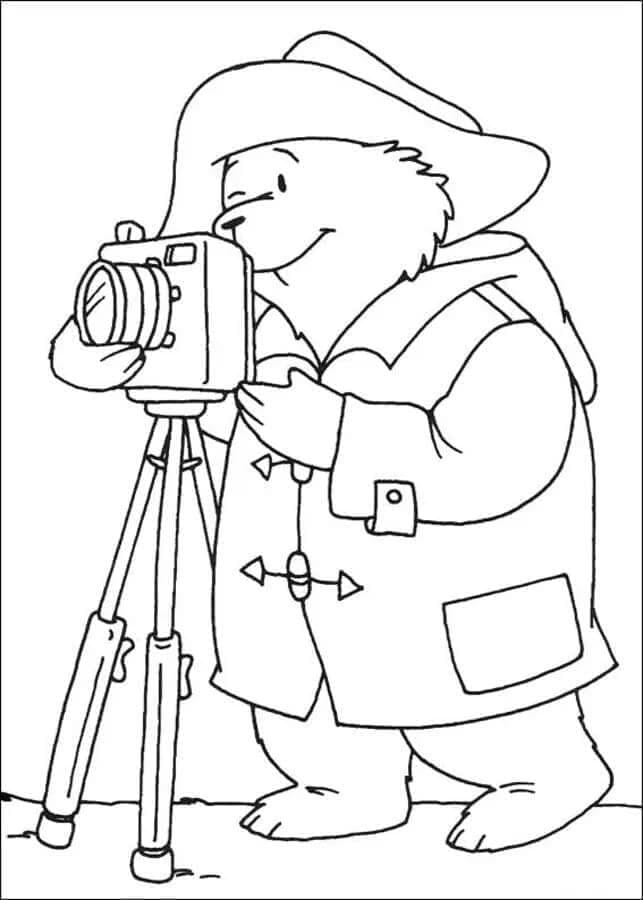 Paddington Gratis Bilde fargelegging