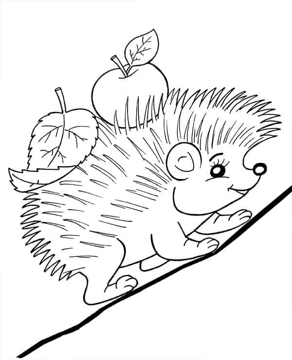 Pinnsvin (5) fargelegging