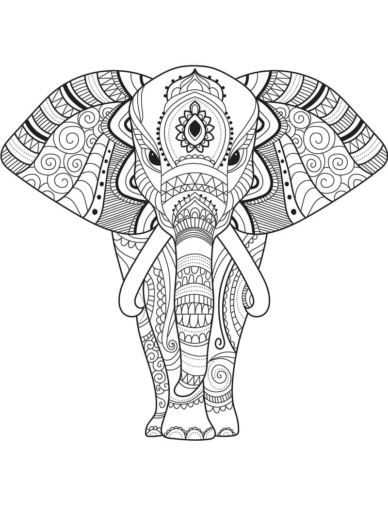 Zentangle for farging fargelegging