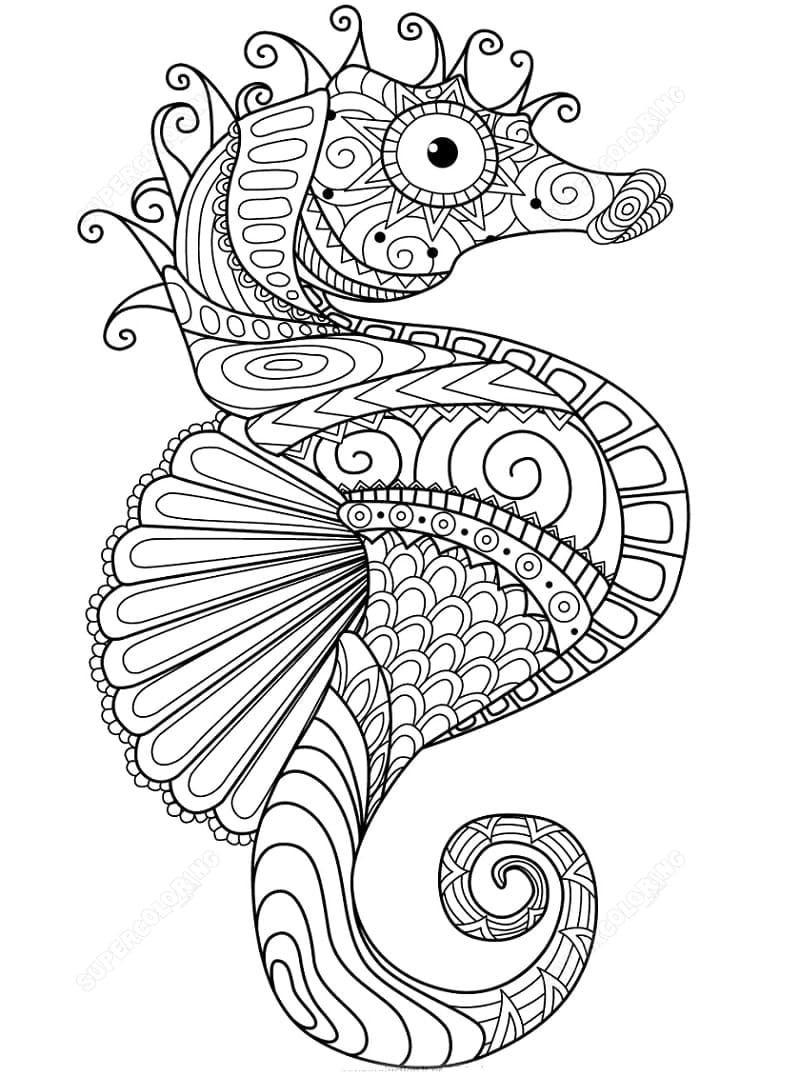 Zentangle uten kostnad fargelegging