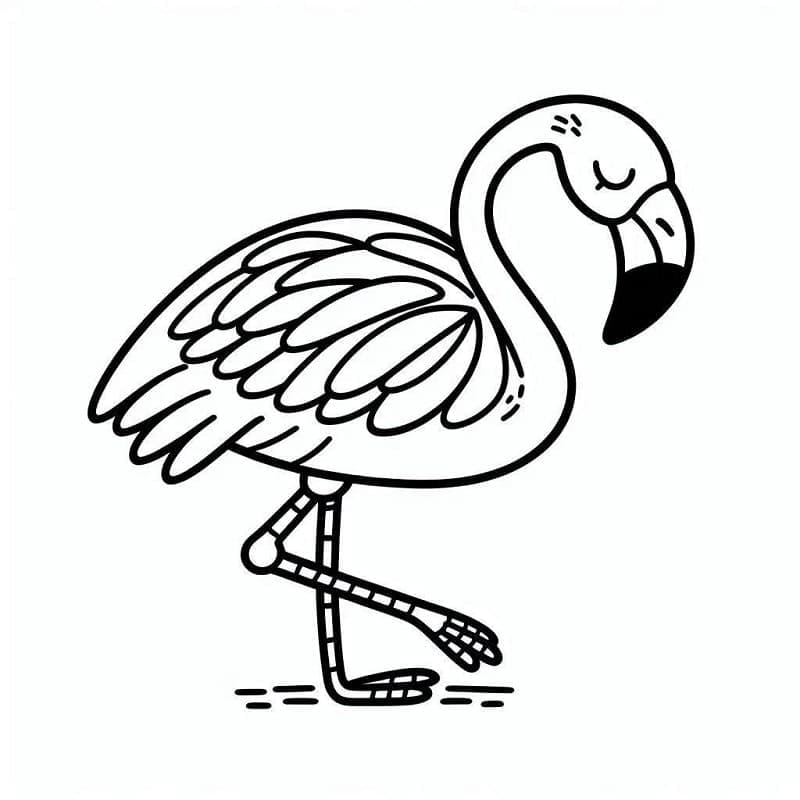 Flamingo (2) fargelegging