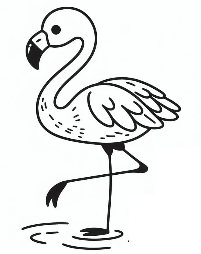 Flamingo (3) fargelegging