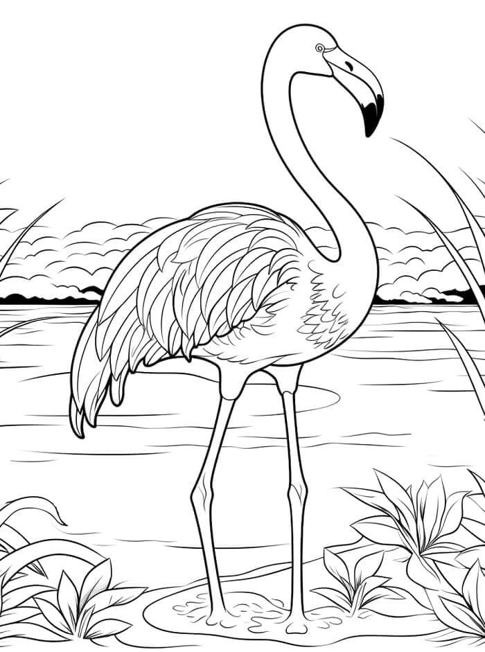 Flamingo Gratis fargelegging
