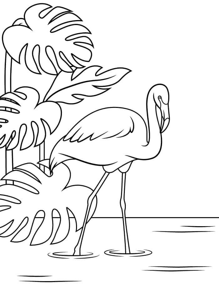 Flamingo Utskrivbar fargelegging