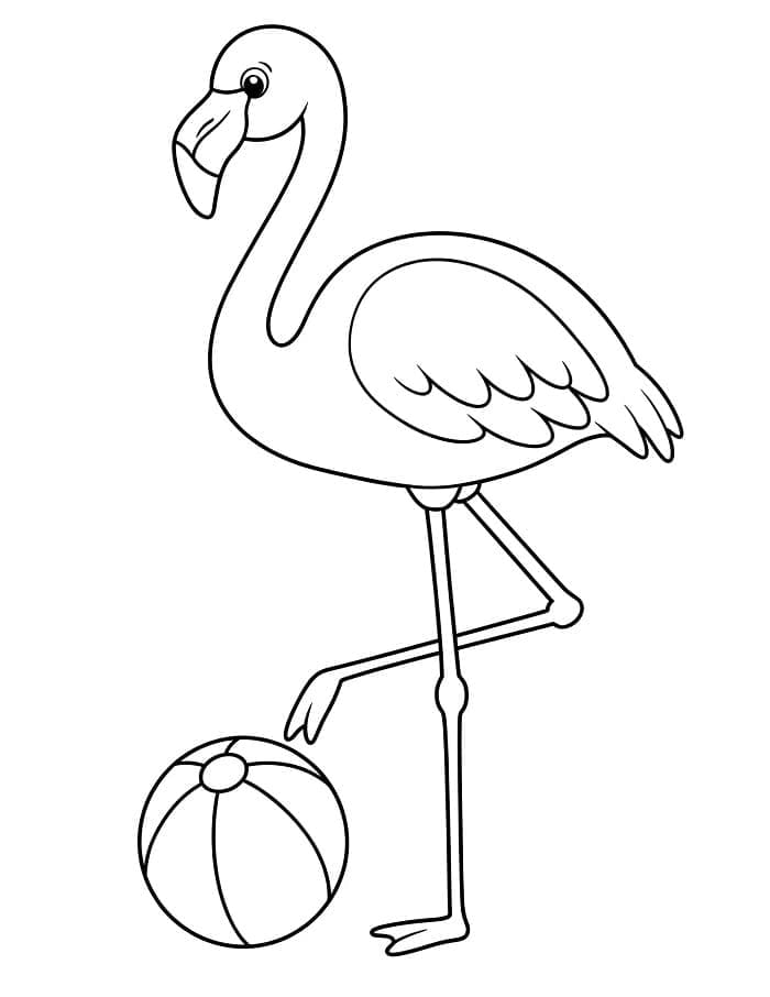 Flamingo for 4 år gamle Barn fargelegging