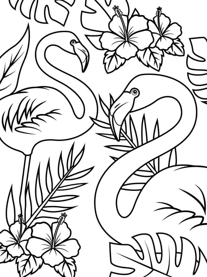 Flamingo for Barn fargelegging