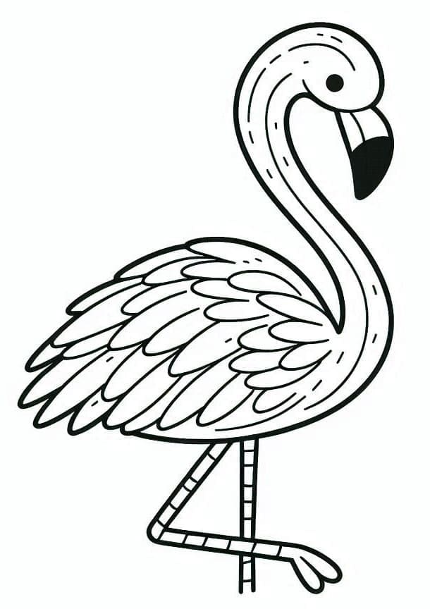 Flamingo til Fargelegging fargelegging