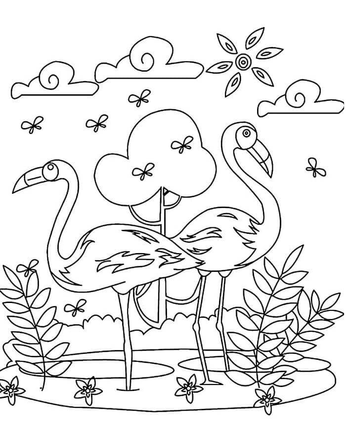 Normal Flamingo fargelegging