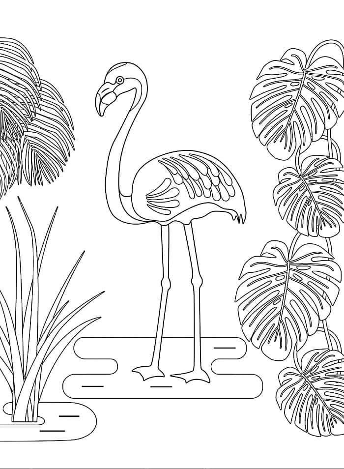 Søt Flamingo fargelegging